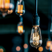 Bulb